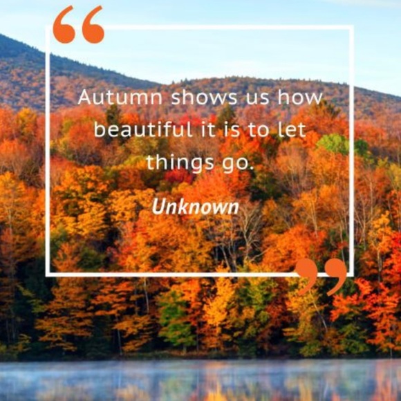 Hello Winter 💕 - Picture 4 of 4